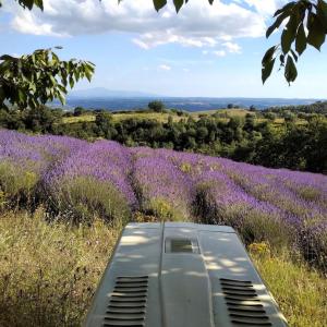 Orvieto Casale Podere Selvatto, Umbria