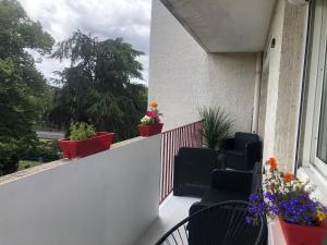 Appartements Chez Jean-Claude, vue panoramique au reveil : photos des chambres