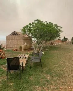 Animal Service Center - 纳祖尔