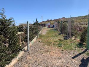 Animal Service Center