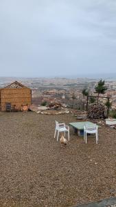 Animal Service Center