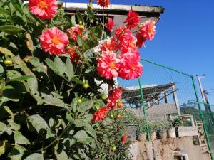Lakleen holiday home