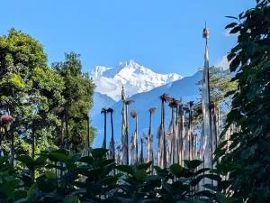 Mochilero Ostello 2, Pelling - Dentam