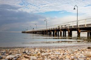 Albert Park Magnificence Position Perfect MLane