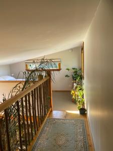 Maktub Biodynamic Farm