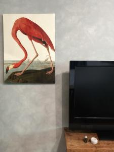 Dulan The Travel Bug Bistro Inn