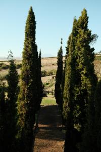 Gabriëlskloof Farm House