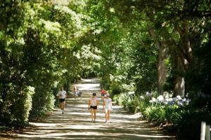 Sensational Stylish and so very South Yarra 2BR