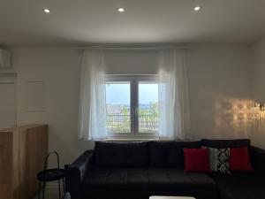 Apartment Lux 