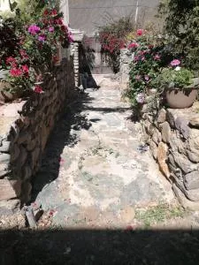 INTERCULTURALITY LODGE Country House - Sahuayacu