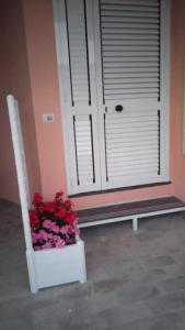 RAYO DE SOL - Azzurra