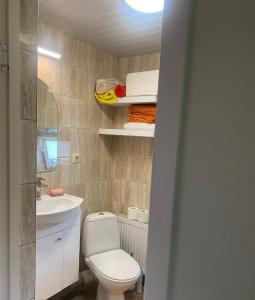 Jaunzīlīšu namiņš