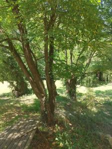 B&B / Chambres d'hotes Chez Yves , 200 m du canal , 7 min de Golfech , parking prive et gratuit , rangement velo fermes : photos des chambres