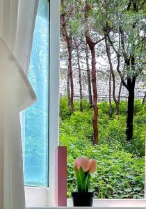 The Seoul city wall house