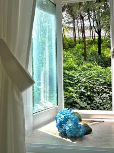 The Seoul city wall house