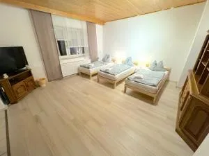 II Apartment Dingolfing Ferienwohnung Kronwieden II - Дінґольфінґ