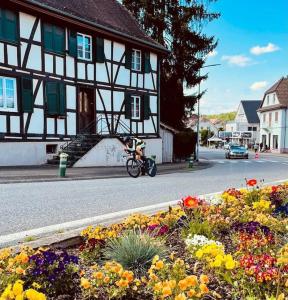 Maisons de vacances Gite Guldangel : photos des chambres