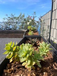 Beachfront Villa with pool - MyWay