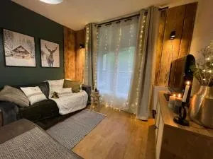 Studio au pied des pistes - Cholonge