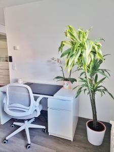 Apartamento renovado cerca zona vieja