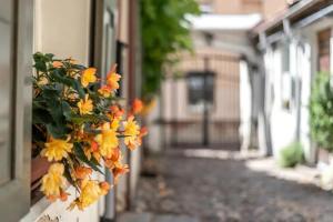 Studio apartment in Oldtown #F