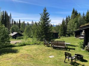 Frøy&Frøya Hyttetun
