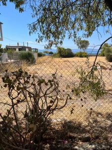 Aphaia Serenity Apartment