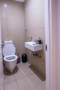 Stay at The Point - Deciduous Dusk