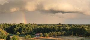 Dadaj Park Tiny House 2