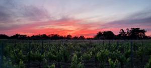 Maisons de vacances Proche Saint-Emilion, confortable gite renove avec terrasse - 2 personnes : photos des chambres