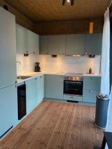 Modern and luxuriously furnished villa in Idre