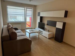 Spacious&cozy south apartment