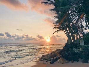 Bienvenido Cozy Madiha