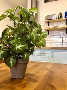 Casita privada con encanto en la playa de Valencia