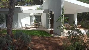 Diseño y luz entre los pinos