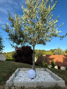 La maison des Oliviers, 5min du ZooParc de Beauval