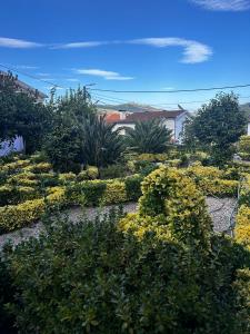 Casa Teles - 4hvězdičkové hotely ve městě Peso da Régua