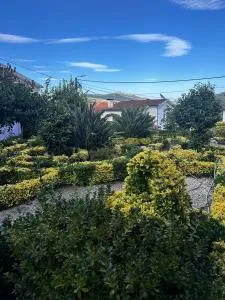 Casa Teles - Adega do Chão