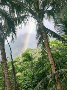 Casa De Pueblo complete property units 1&2