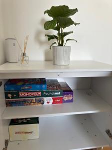 Serene Ocean Side Apartment BTN