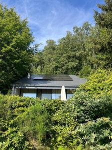 Le Vieux Sart 32 Coo