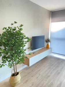 Buen Camino Redondela