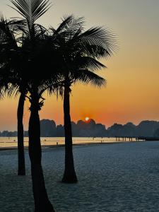 Kim An Homestay, Pizza - Cafe