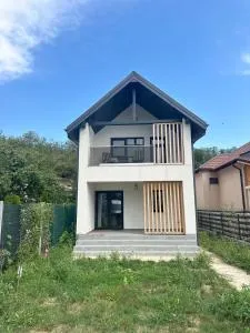 Vilă deosebită in Șerbănesti, Bacău pentru închiriere pe termen scurt sau mediu - Cotu Siretului