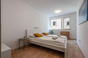 Big condo with garage & balcony & AC & lift