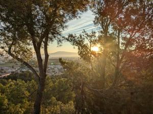 Charme, vue et piscine naturelle
