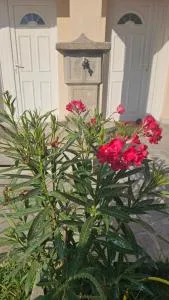 Apartmani Gusani - Radanovići