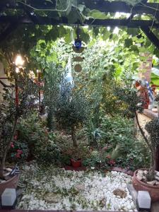 Kallithea