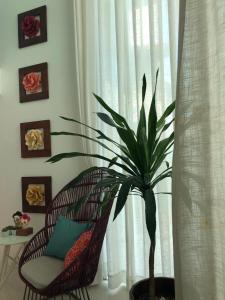 Casa veraneio lucidata