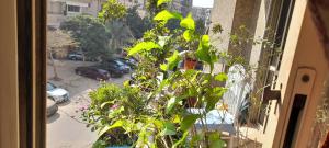 A room in an apartment in Nasr City, Cairo, near Azhar university , 15 minutes from Cairo Airport,غرفة بشقة بمدينة نصر بالقاهرة بالحي الثامن 15 دقيقة من مطار القاهرة و 7 دقيقة من معهد 